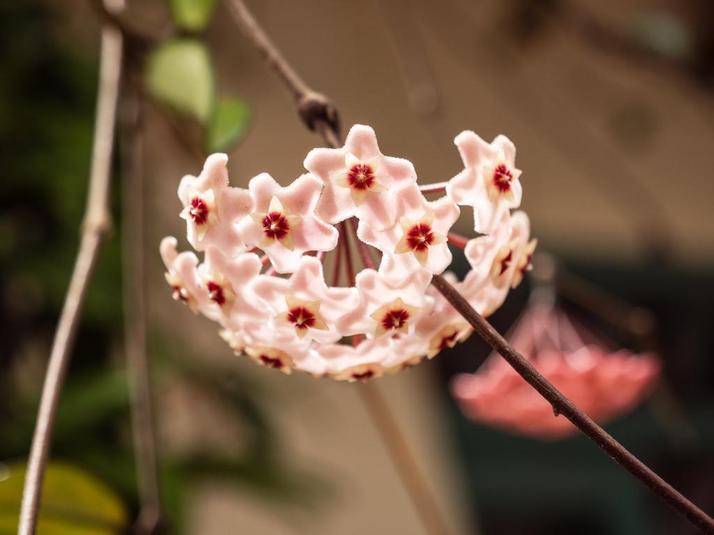 Casa Barichara Boutique Hotel Ngoại thất bức ảnh